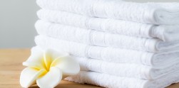 StarRonia Special A+ Class Pure Cotton Towel 2